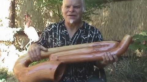 Python P002 Didgeridoo Demo by David Blonski