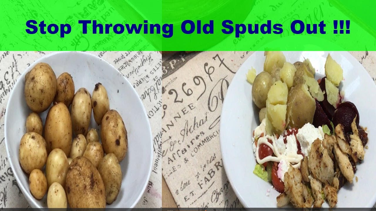 Garden Vid In February in Cornwall #gardensplants#cottagegarden