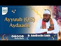 Nabillaah Ayyuub Q S Aydaadu Dr Qabdûraciim Cabiib 