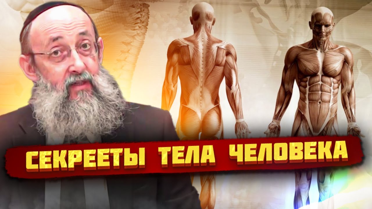 Демонстрирует тайны своего тела Демонстрирует тайны своего тела