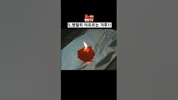 신기한 과학의 세계 TOP5