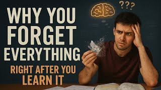 Why You Forget Everything Right After You Learn It