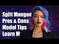 Should You Split Your Mongoose Model Pros And Cons Explained Should You Split Your Mongoose Model Pros And Cons Explained