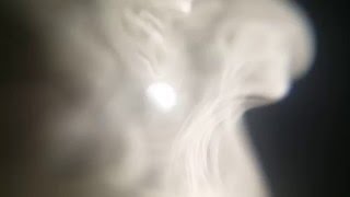 PHYSFX - Misty Moon 001 - Raw Camera Footage OldSchool VFX - No Ccomputer - Free stock video