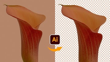 Remove Background In Illustrator Using A "Clipping Mask"