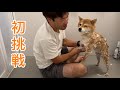 パパと一緒なら大丈夫。初めてのシャンプーに挑戦しました