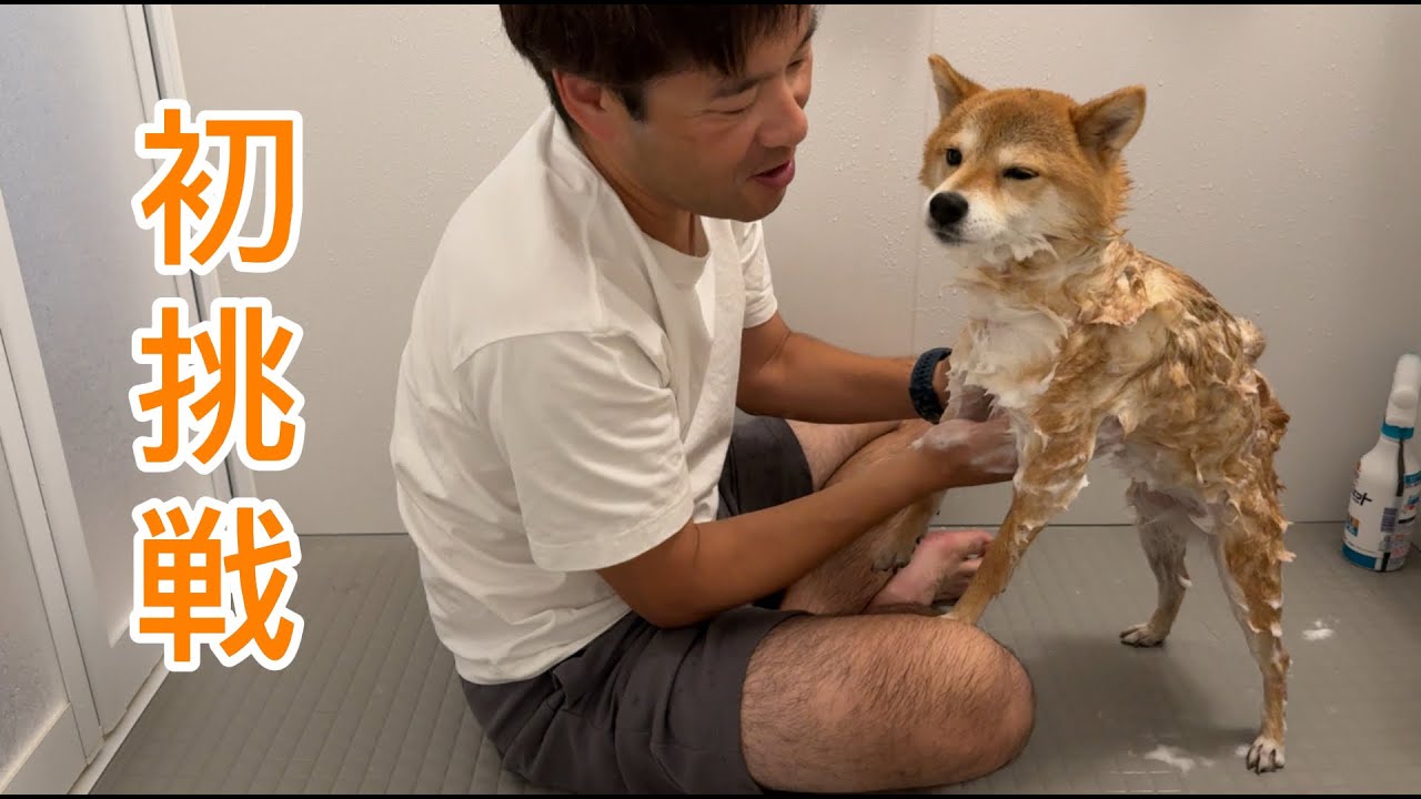 パパと一緒なら大丈夫。初めてのシャンプーに挑戦しました