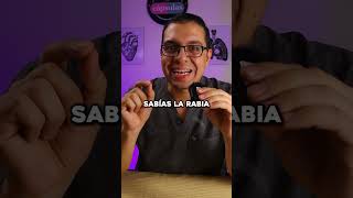 Cuidado con la Rabia! #medicina #rabia #doctor Cuidado con la Rabia! #medicina #rabia #doctor