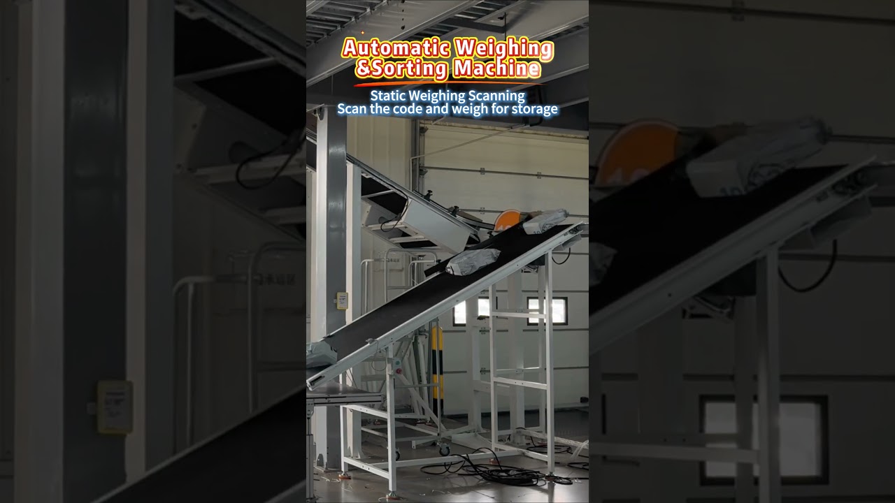 称重读码 对接分拣系统 电商分拣效率天花板 Static Weighing Scanning
