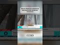 На юге Франции объявлена максимальная пожарная опасность #франция #пожары #югфранции #леснойпожар
