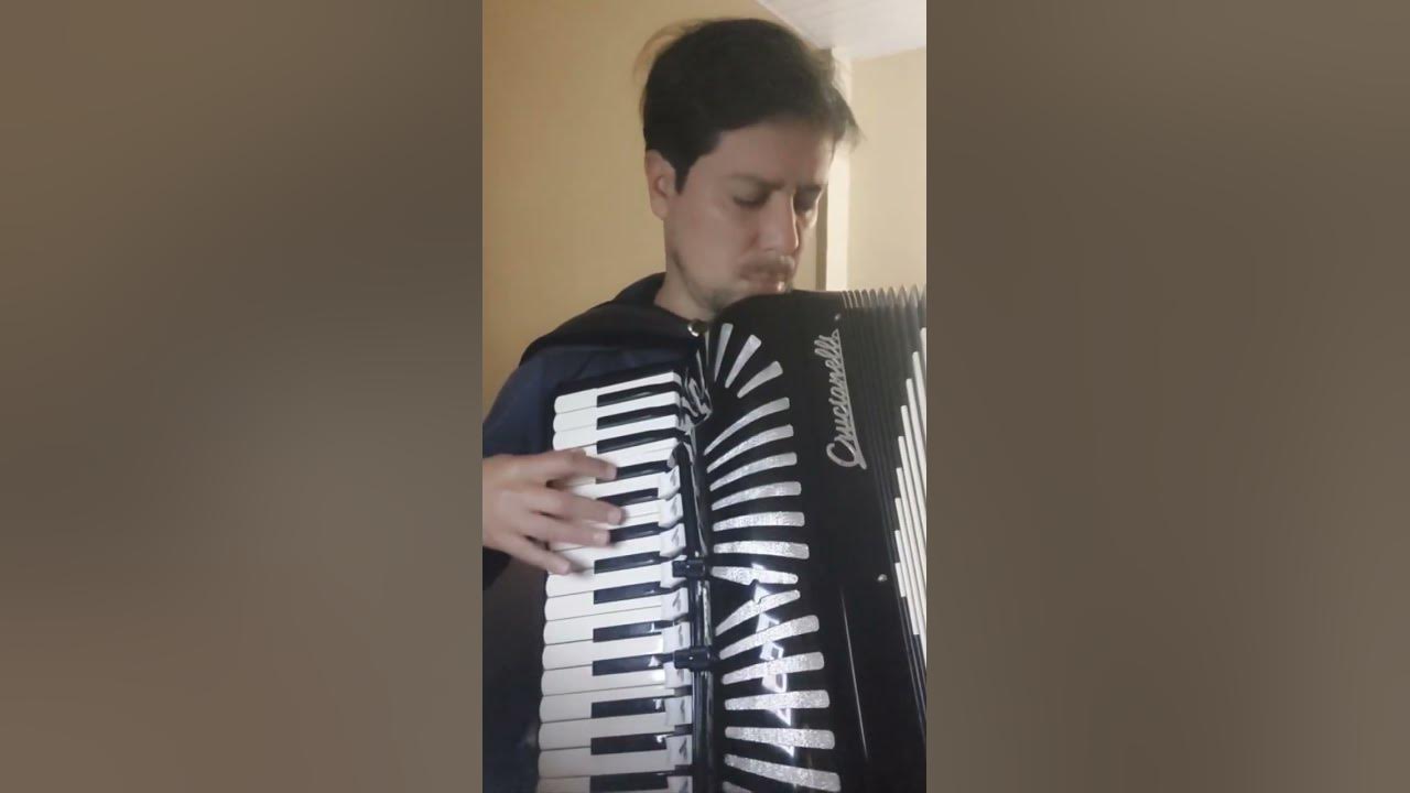 O Bêbado e a Equilibrista - Elis Regina | Guilherme Seifert