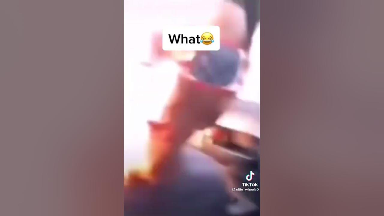 Jellyfish launcher YouTube