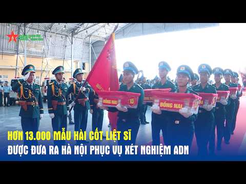 Over 13,000 Martyr Remains Samples Brought to Hanoi for DNA Testing