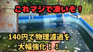 『物理濾過強化』140円で物理濾過を大幅に強化やってない人は絶対やった方がいい#koi #錦鯉 #アクアリウム #いわき市 #carp #nishikigoi #福島県