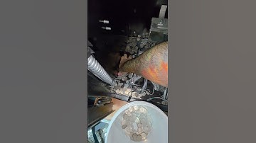 18 Months of Change Under My Change Machine At The Laundromat