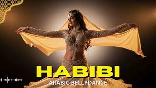 Arabic Dj Remix   Style Middle Eastern Dance 