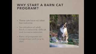 How to Create a Successful Barn Cat Program - conference recording