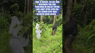 Kang Dedi Mulyadi‼️bantu viralkan