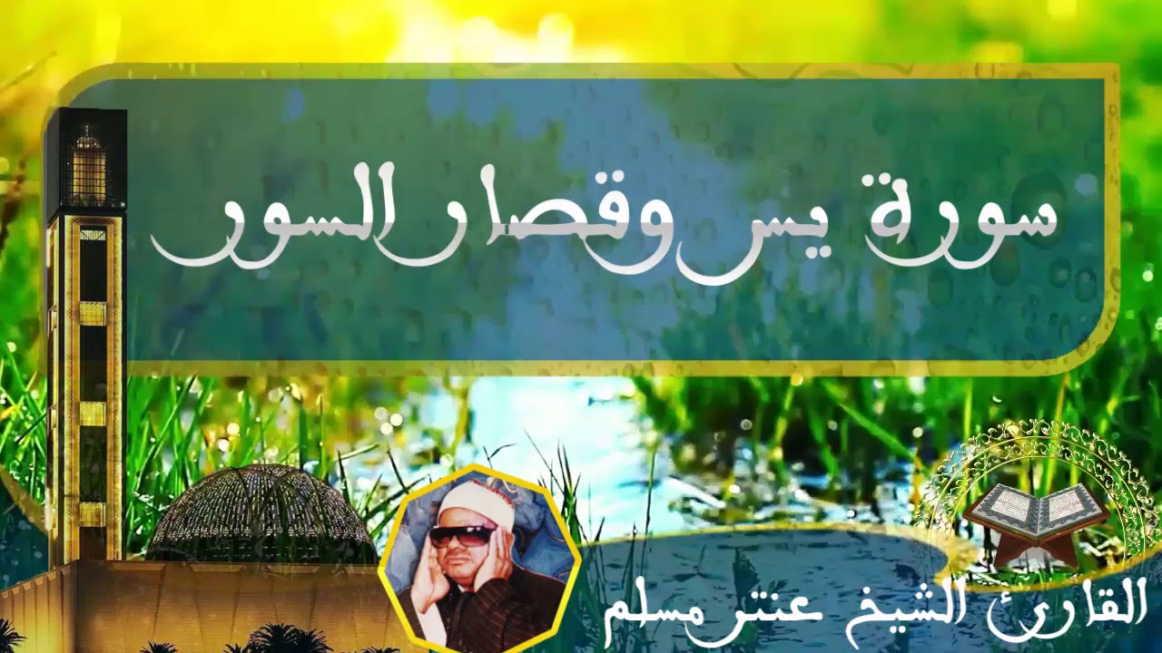 الشيخ عنتر مسلم سورة يس وقصار السور