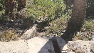 La Acequia Marchena entrando a los huertos