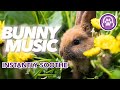Calming Rabbit Music: INSTANT Anxiety Relief for Your Bunny 🐇
