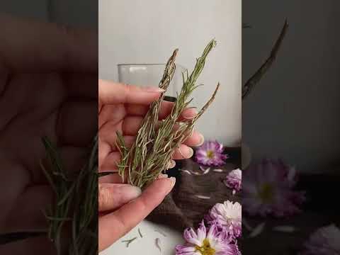 Приятного чаепития🍓 френч-пресс — устройство для приготовления чая и кофе в Рубль Бум Приятного чаепития🍓 френч-пресс — устройство для приготовления чая и кофе в Рубль Бум