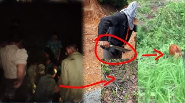 Xov xwm tshiab Dab laug tua yawm yij nyuj tseem nyem yawm yij caj pas yuav luag tuag thiab