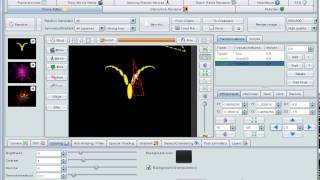 IFS linear - How to effectively use Linear Transforms in Fractal Flames