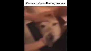 Cavemen Domesticating Wolves