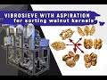 Walnut kernel separating and aspirating machine (200 kg\h)