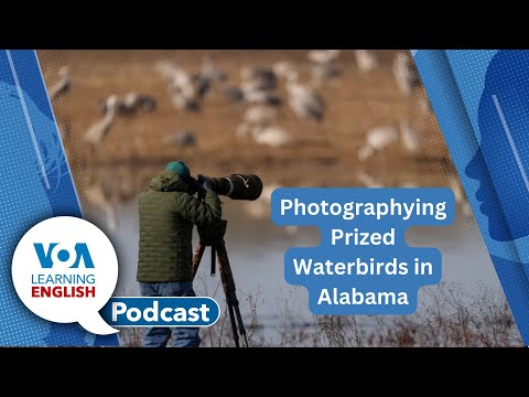 Birdwatching In Alabama Spread Thin ISS Stay Prediction