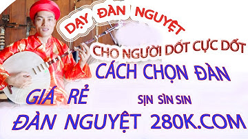 Đàn nguyêt giá rẻ có tốt không ?