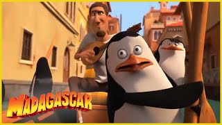 Madagascar en Español Latino | Desordenado Con los Pájaros Equivocados | Los Pingüinos de Madagascar