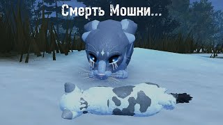 Смерть Мошки... || Warrior cats.