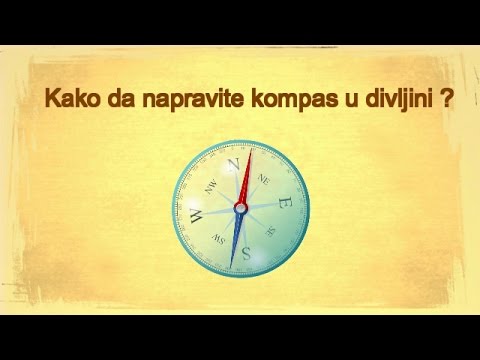 Kako da napravite kompas u divljini?