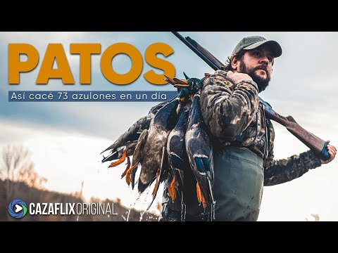 Así cacé 73 PATOS SALVAJES en un día 💥🦆 | Probamos el nuevo sistema BENELLI ADVANCED IMPACT