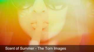 Watch Torn Images Scent Of Summer video