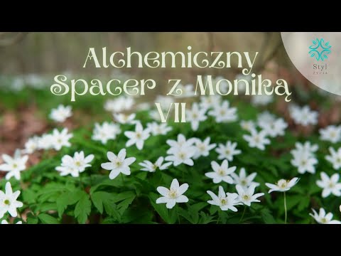 ALCHEMICZNY SPACER Z MONIKĄ - VII | Przyroda, Przemyślenia, Natura, Świadomość | Monika Cichocka