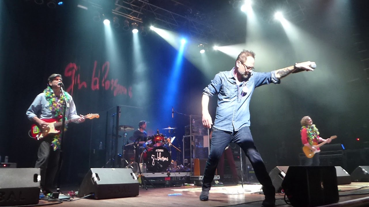 Gin Blossoms Follow You Down (Houston 02.13.18) HD YouTube
