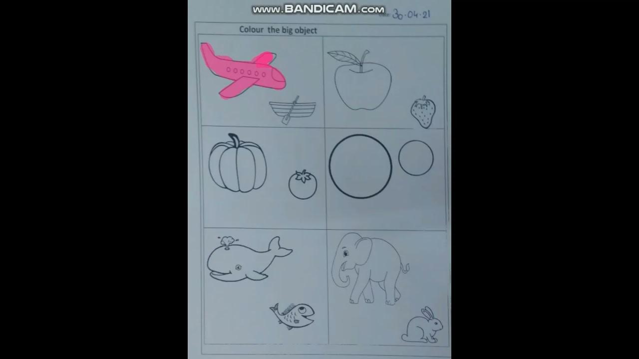 Delhi Public School Gandhinagar Nursery Big and Small YouTube