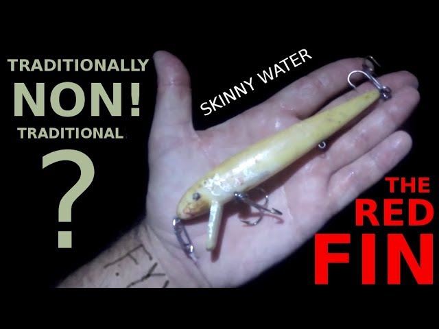 THE RED FIN WAKE BAIT - FISHING SKINNY WATER STRIPERS Fished -  Traditionally NON Traditional 