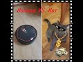 Говорящий робот пылесос Володя и кот. Нарезка. 2 сезон 9 серия