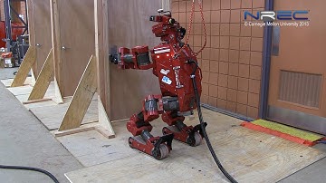 CHIMP DRC Tasks Fast