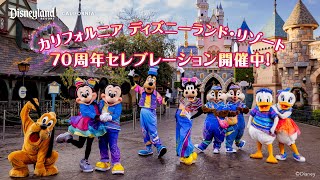 マニやん　海外版　キャッスルオブイリュージョン　ディズニー 上海ディズニー キャッスル お城 フィギュア （上海