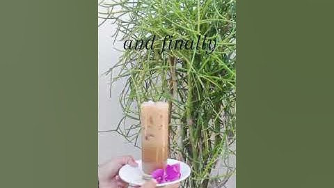 PROCEDURE TEXT "HOETO MAKE ICE COFFE" | English Lesson #semangat