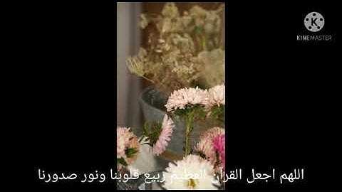 ما تيسر من سورة الفرقان للشيخ محمد عادل