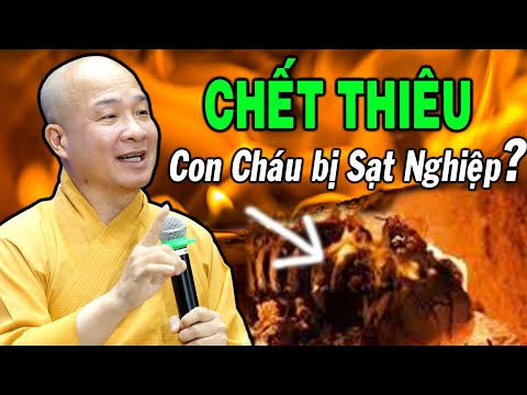 NGƯỜI CHẾT THIÊU tro cốt thả xuống sông CÓ HẠI GÌ cho con cháu ? Thầy Trí Huệ giải đáp rất hay !