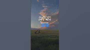 قران كريم #تلاوة_خاشعة#رعد_الكردي #حالات_واتس#لايك
