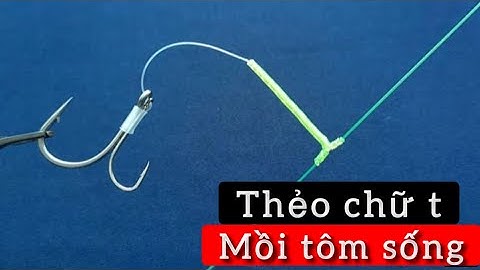 Làm Thẻo Câu Chữ T , Thẻo Câu Cá Biển , Buộc Thẻo Câu Chì Dưới , Thẻo Câu 2 Lưỡi | FISHINGHOOK