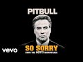 Pitbull - So Sorry (From the "Gotti" Soundtrack)